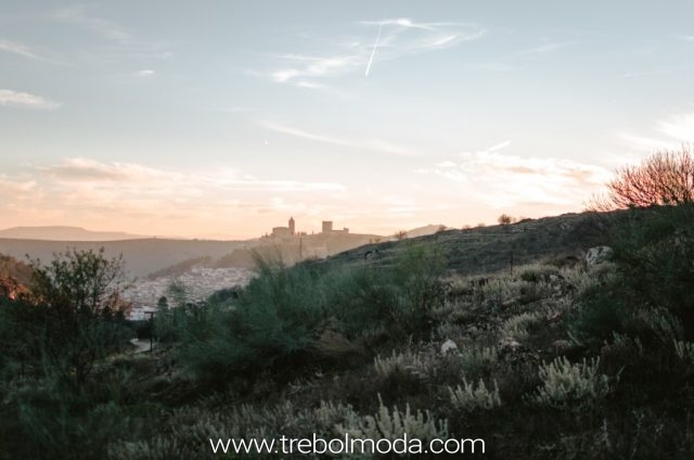 Trebol Moda