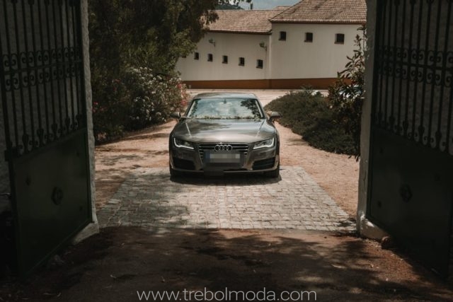 Trebol Moda