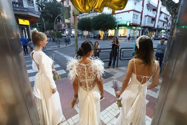 Trebol Moda